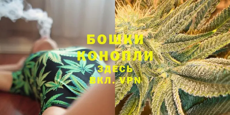 Шишки марихуана Amnesia  Северобайкальск 